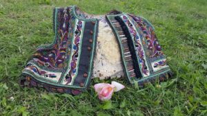 colectia virgil popa pustinis (1)