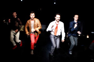 teatrul national timisoara (6)