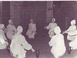 ansamblul banatul (5)