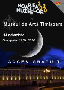 muzeul de arta