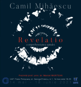 expo camil mihaiescu (2)