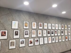 muzeul bibliei la vladimirescu (2)