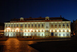 muzeul de arta timisoara (1)