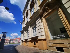 muzeul de arta timisoara (3)
