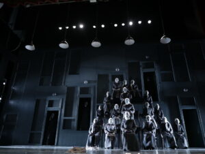 rinocerii teatrul national (1)
