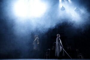 rinocerii teatrul national (6)