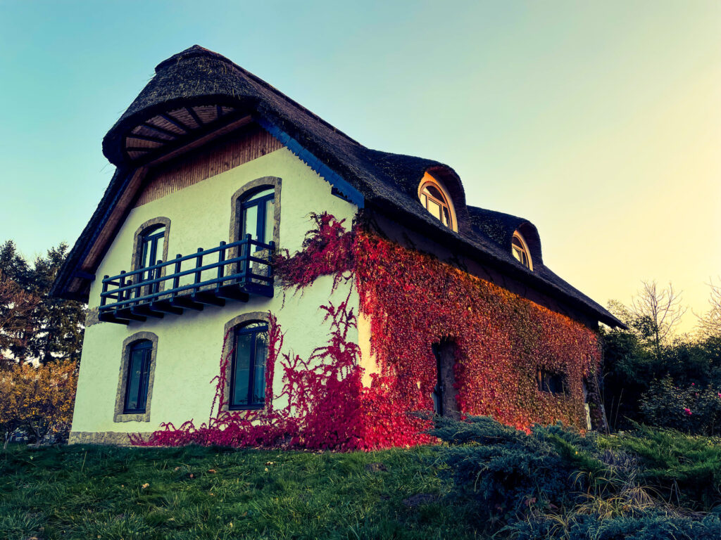 casa iedera