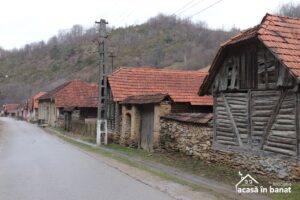 farasesti (3)