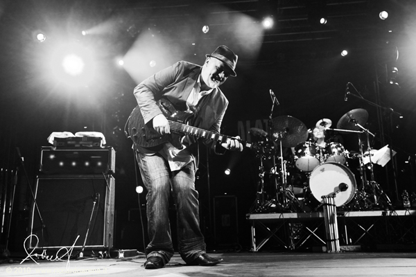 FRANK_GAMBALE_BAND_lrg